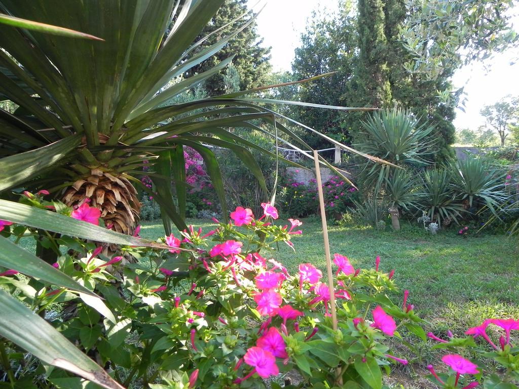 Apartments Katalenic Selce Εξωτερικό φωτογραφία