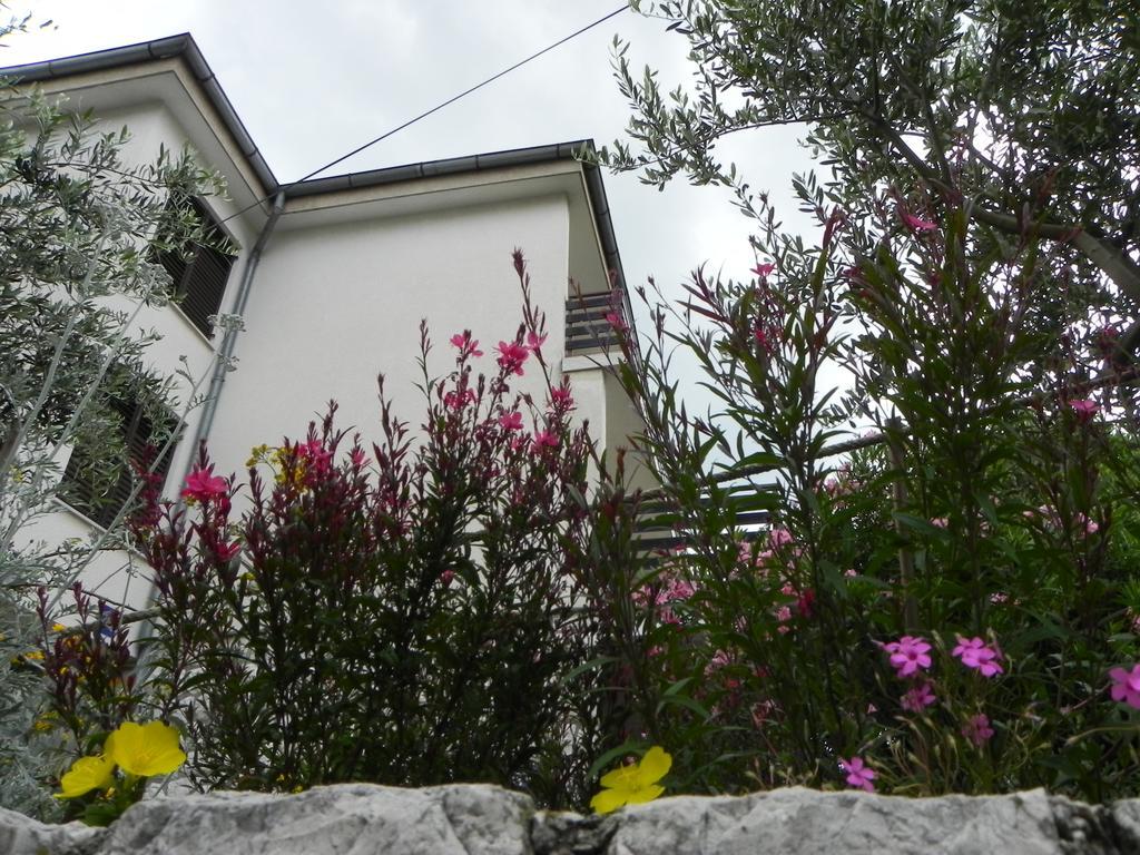 Apartments Katalenic Selce Εξωτερικό φωτογραφία