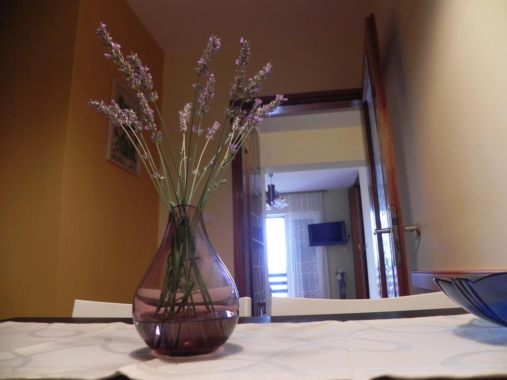 Apartments Katalenic Selce Εξωτερικό φωτογραφία