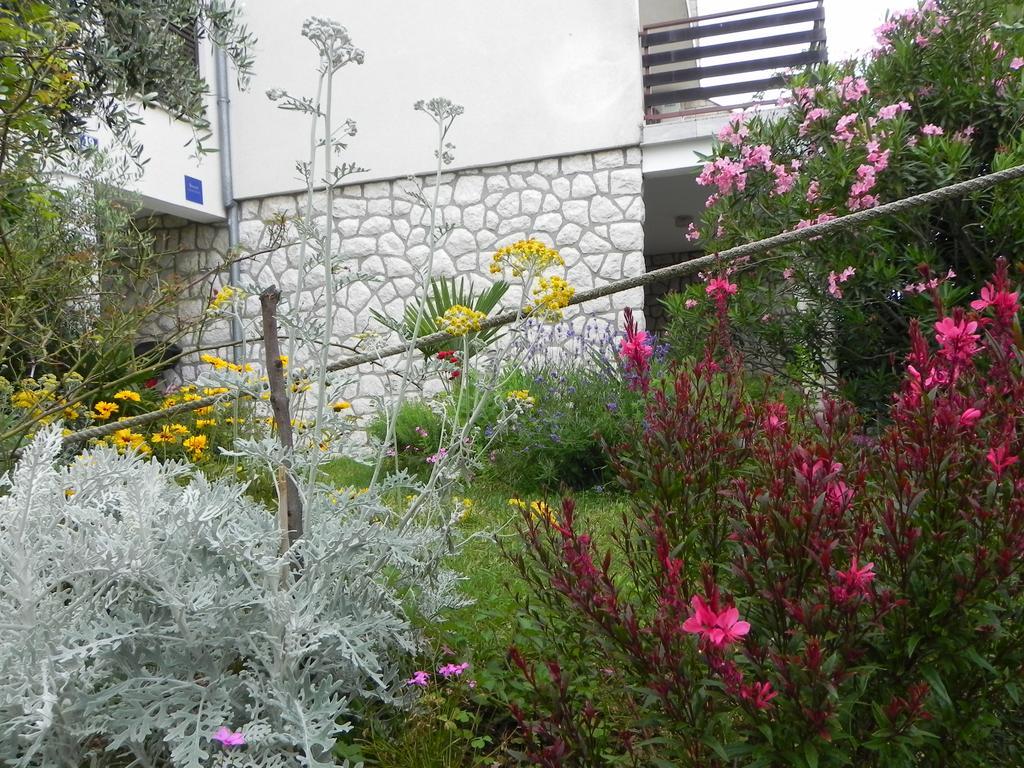 Apartments Katalenic Selce Εξωτερικό φωτογραφία