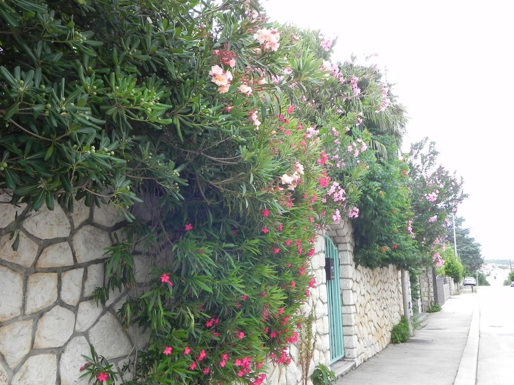 Apartments Katalenic Selce Εξωτερικό φωτογραφία