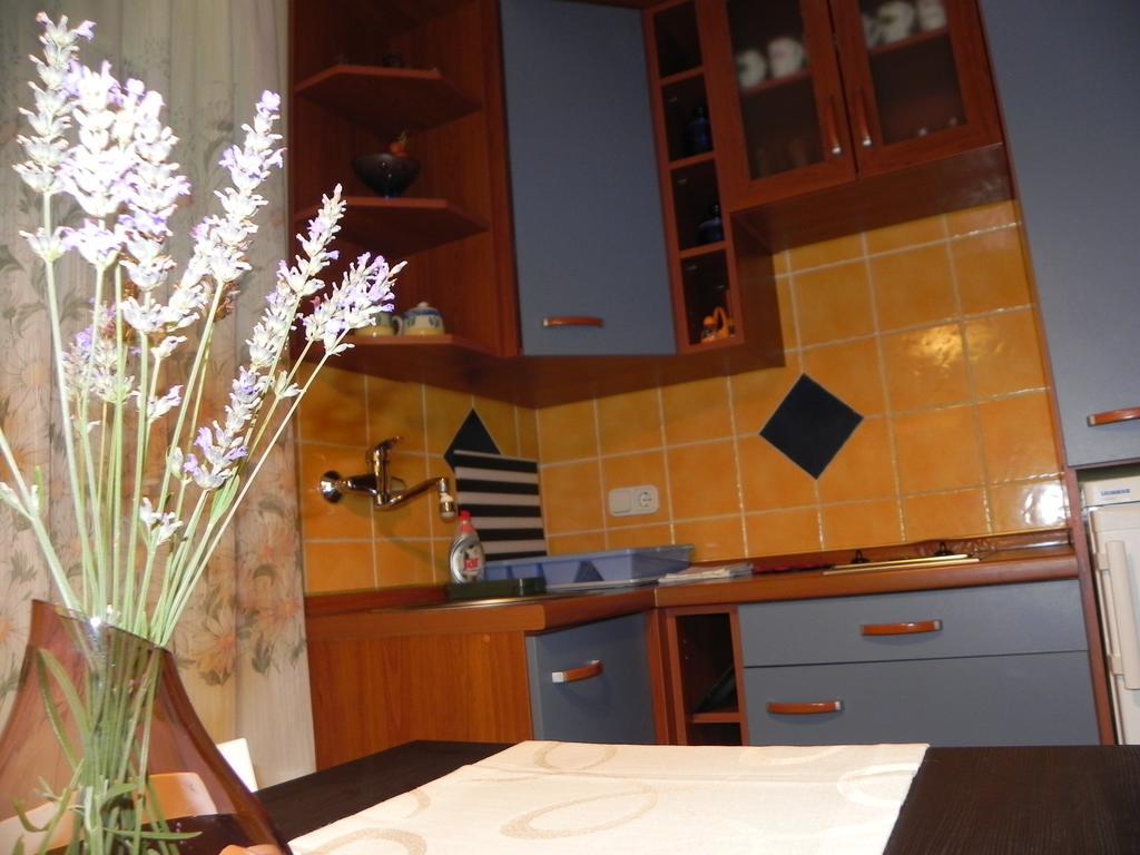 Apartments Katalenic Selce Εξωτερικό φωτογραφία