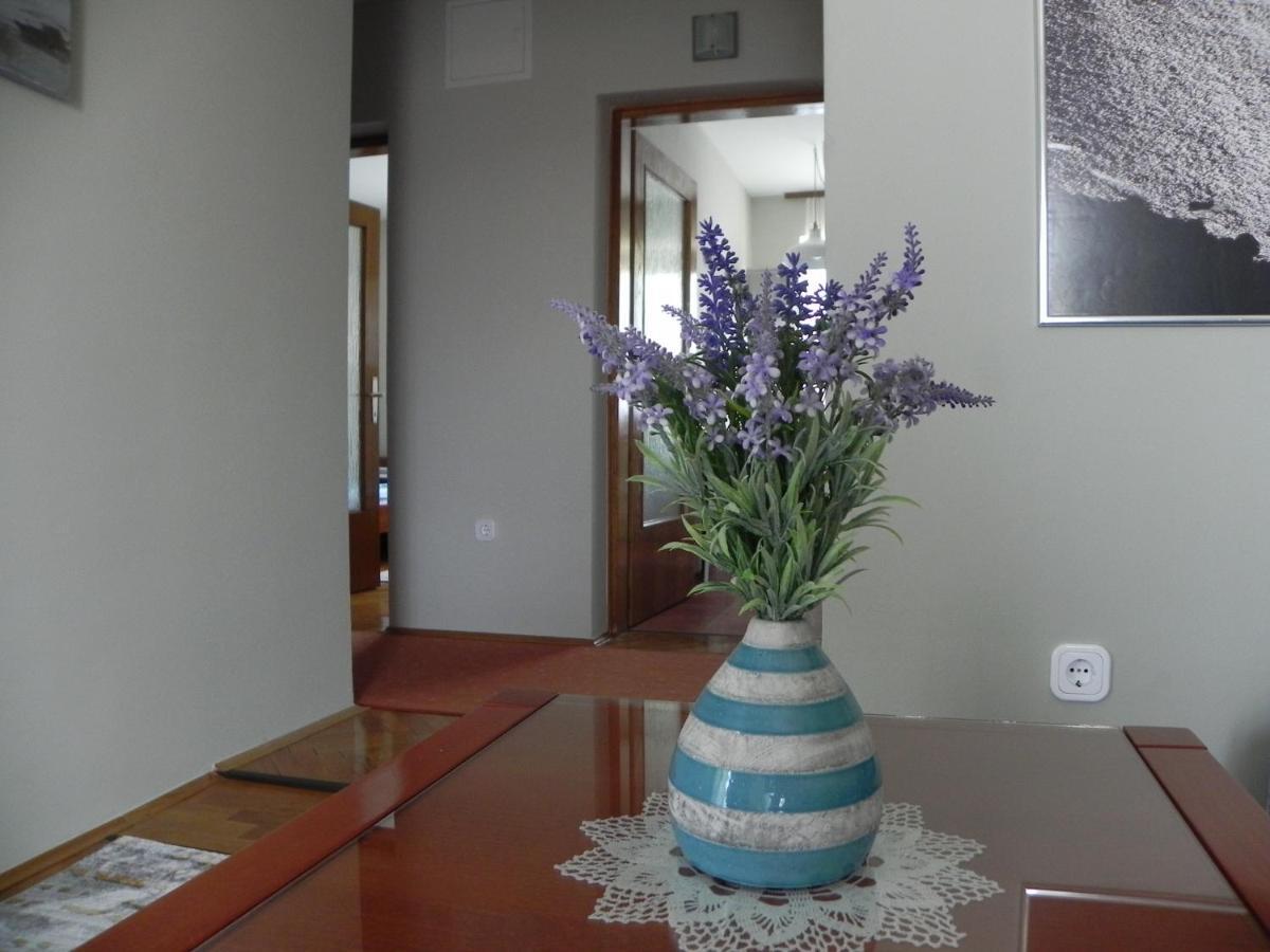 Apartments Katalenic Selce Εξωτερικό φωτογραφία